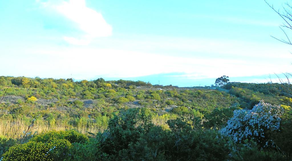 Onrus River Cottage Hermanus Ngoại thất bức ảnh